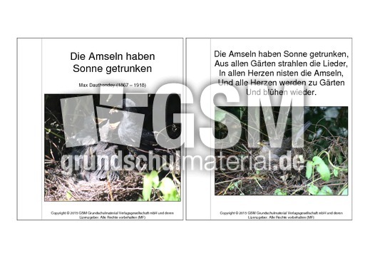 Mini-Buch-Amsel-Gedicht-Dauthendey.pdf